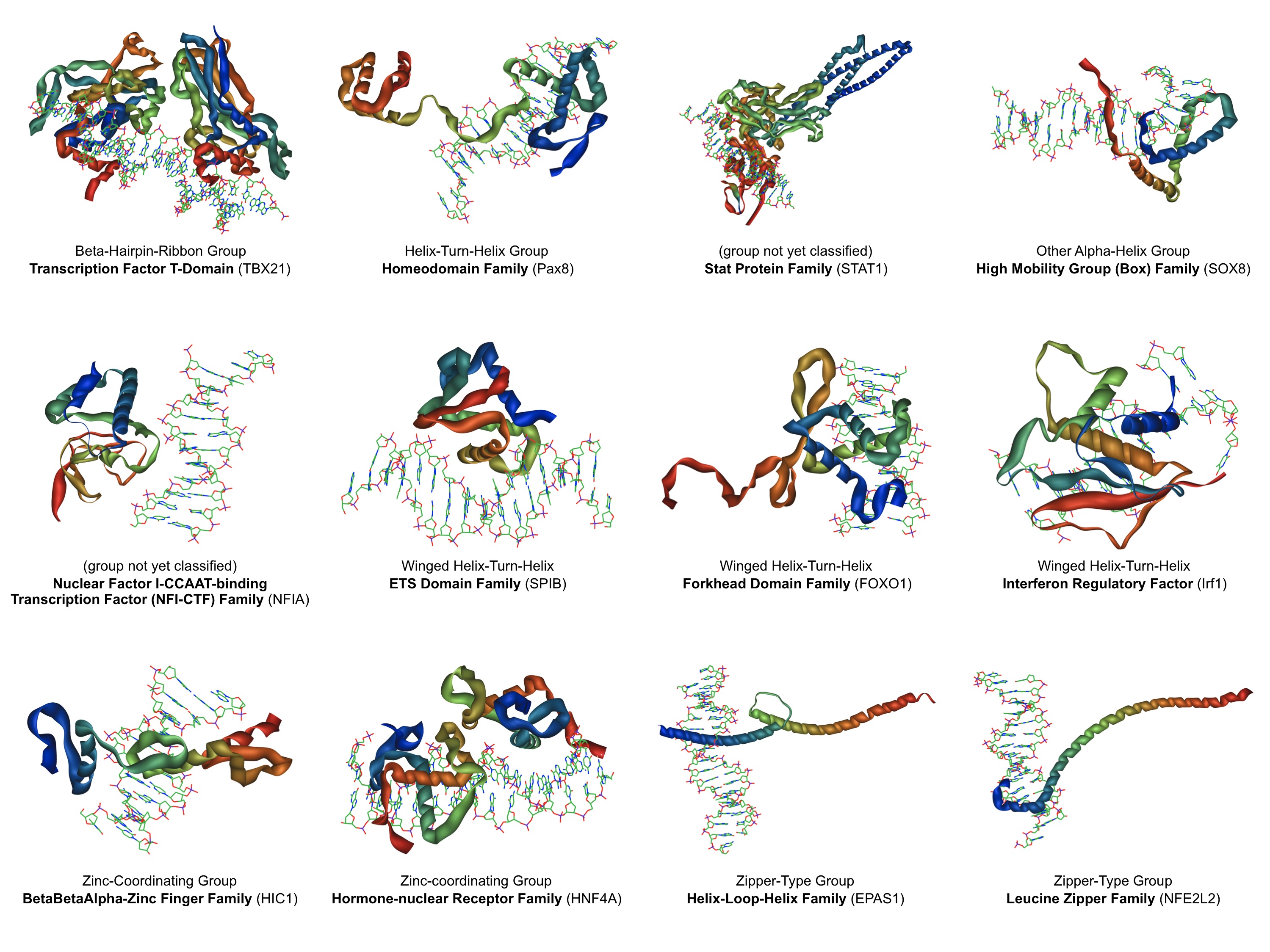 Figure 7 - Structural predictions of transcription factor active sites